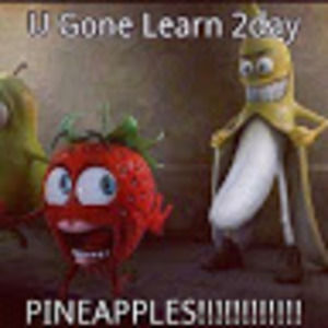 Meet your Posher, Henry